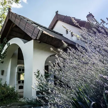 Extra Large House With Big Garden, Sauna Holiday home *
